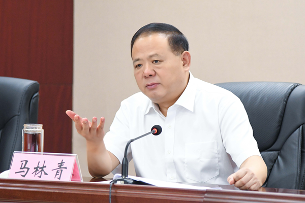 省政府食安辦主任、省市場監(jiān)管局書記馬林青講話